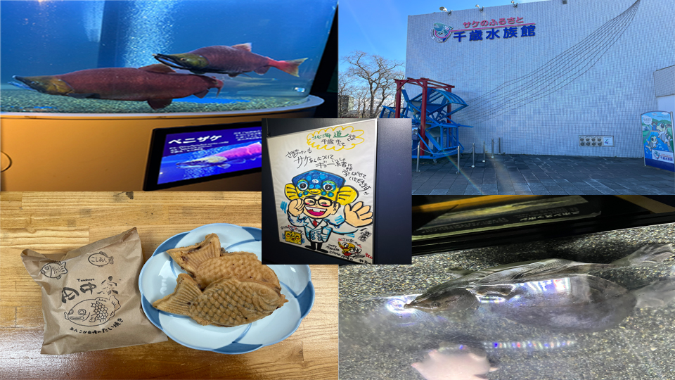 2023年11月 千歳水族館と田中製餡のたい焼きを食べに行こう！！