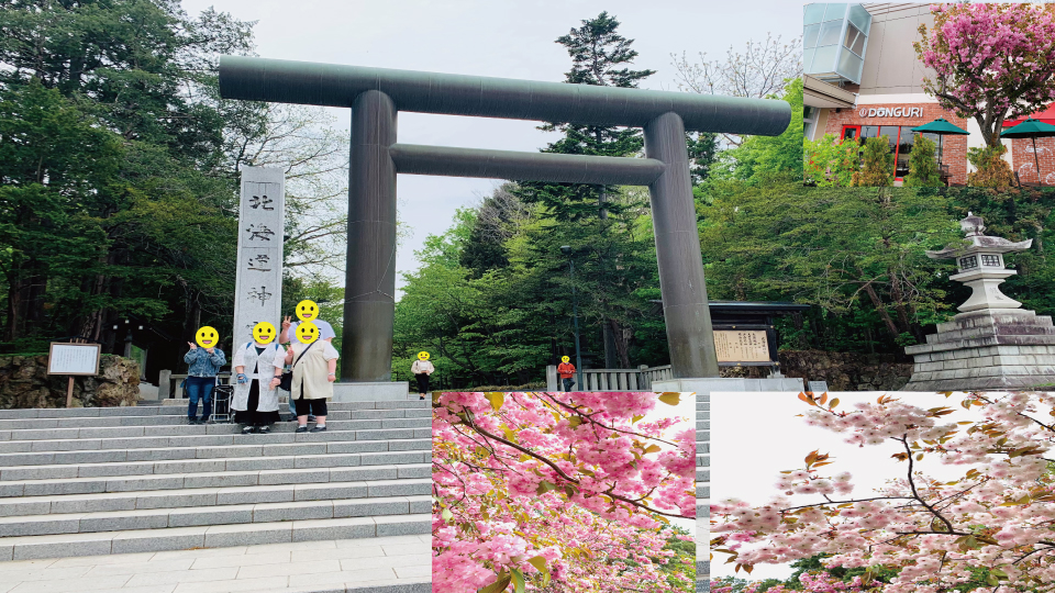 2024年5月 北海道神宮でお花見散歩