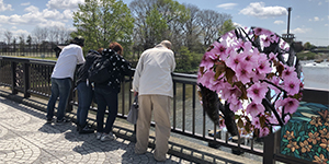 2019 お花見 at May